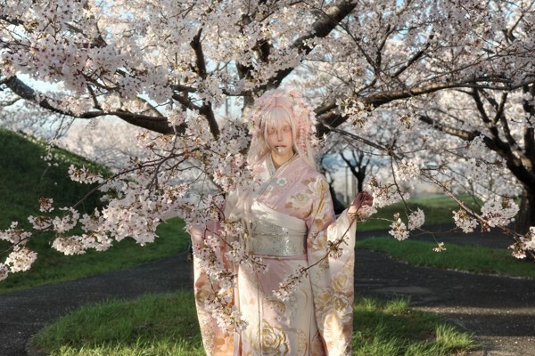 写真 1